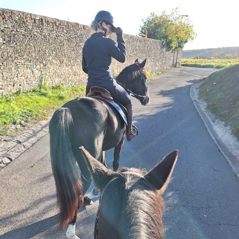 ut labore et dolore magna aliqua. Ut enim ad minim veniam, quis nostrud exercitation.