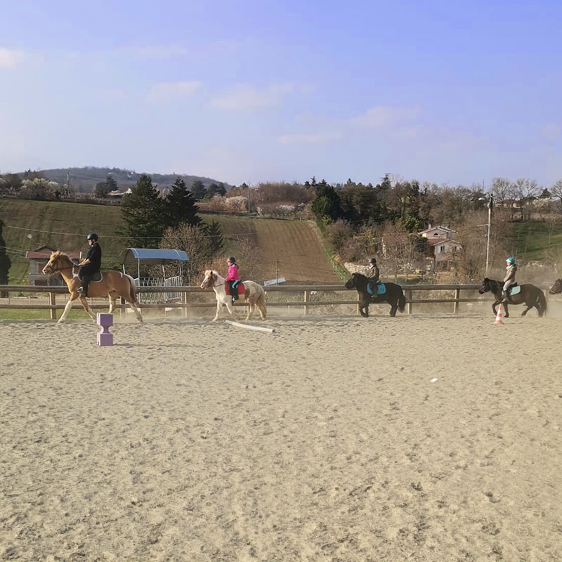 ut labore et dolore magna aliqua. Ut enim ad minim veniam, quis nostrud exercitation.