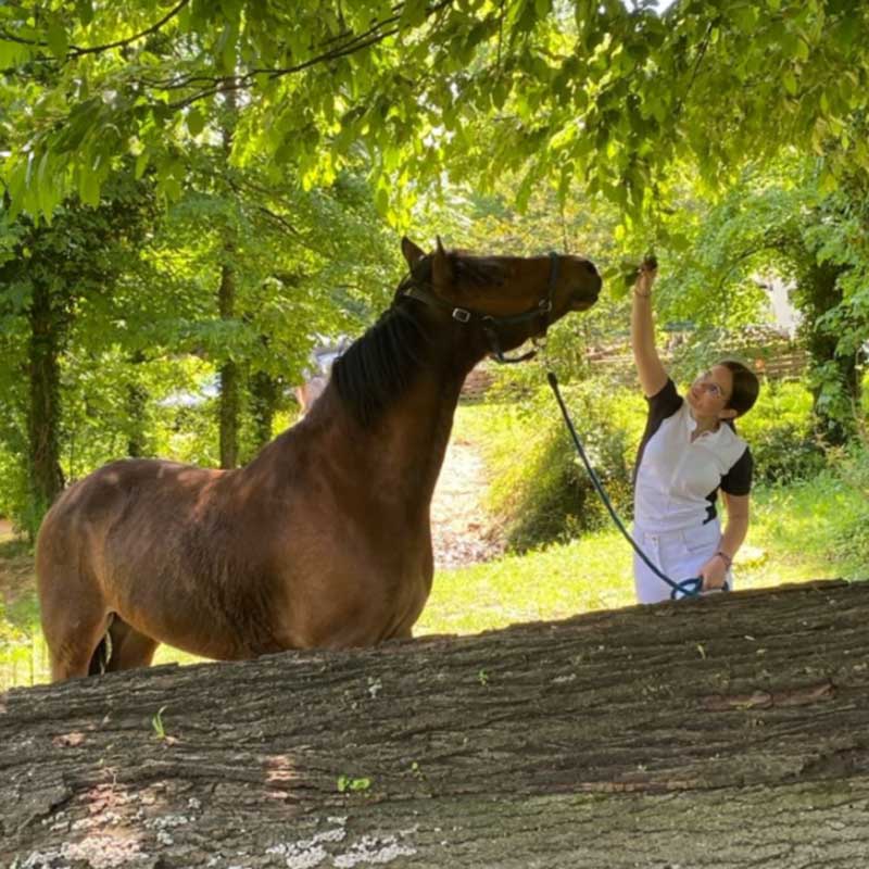 ut labore et dolore magna aliqua. Ut enim ad minim veniam, quis nostrud exercitation.