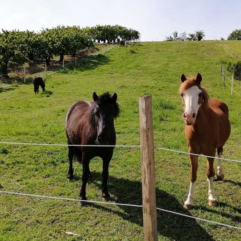 ut labore et dolore magna aliqua. Ut enim ad minim veniam, quis nostrud exercitation.