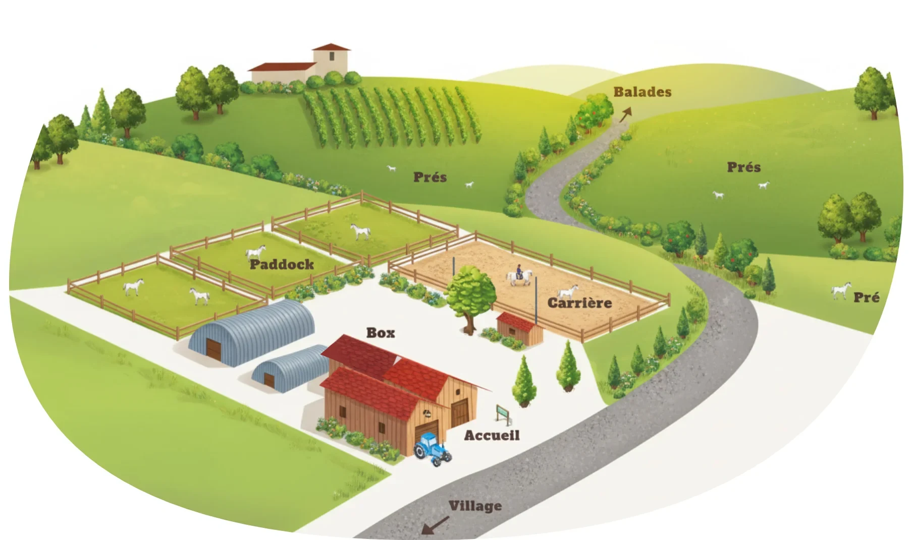 Plan du centre équestre Morancé et Chazay-d'Azergues