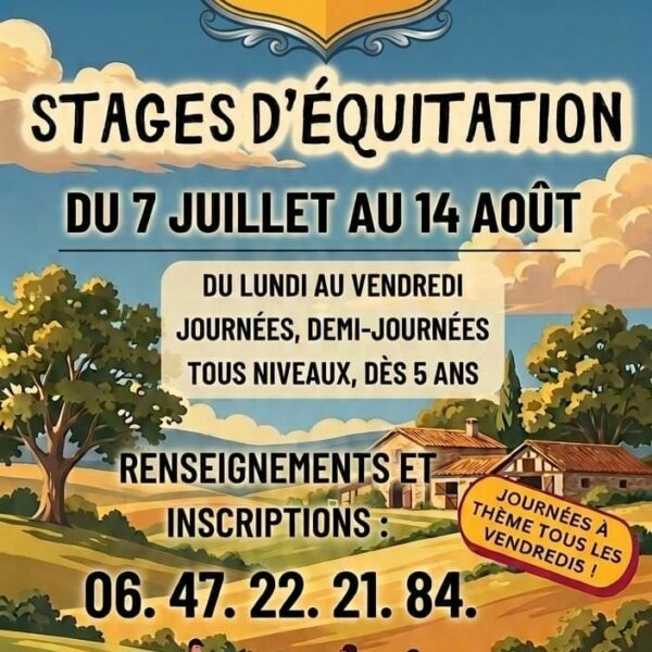 Stage d&rsquo;été