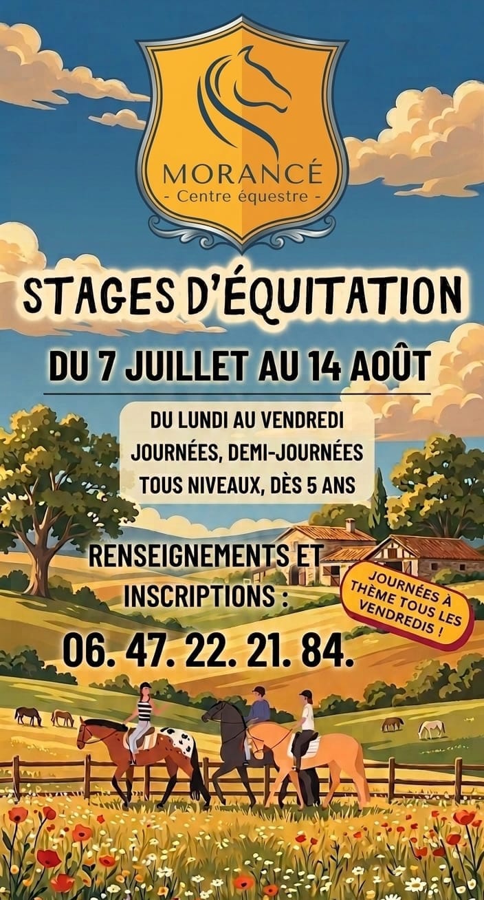 Stage d&rsquo;été